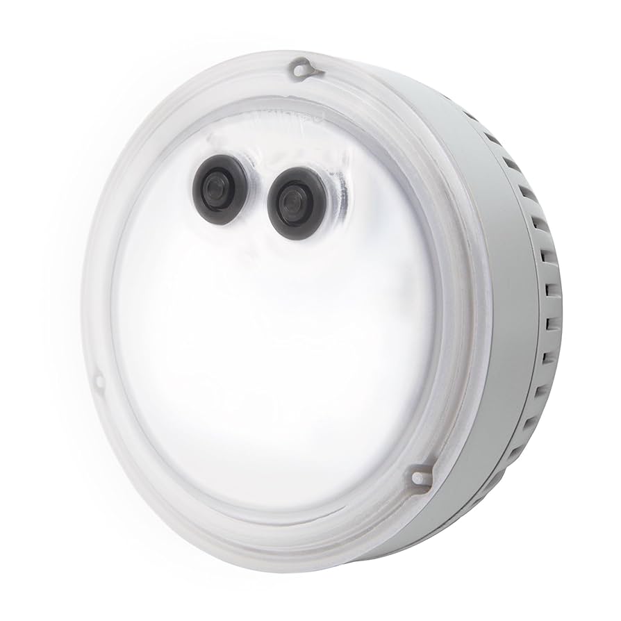 シャル　スパ kotohayokozawa】【CONVERSE】ROADCLASSIC SS OX (WOMEN'S